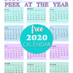 5yr Wall Calendar 2019 2024