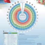 Hawaiian Moon Calendar 2024