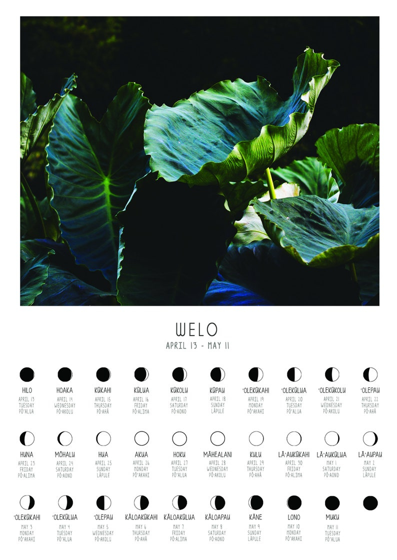 Hawaiian Moon Calendar 2024 2024 Calendar Printable