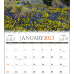 Texas State 2024-2023 Calendar