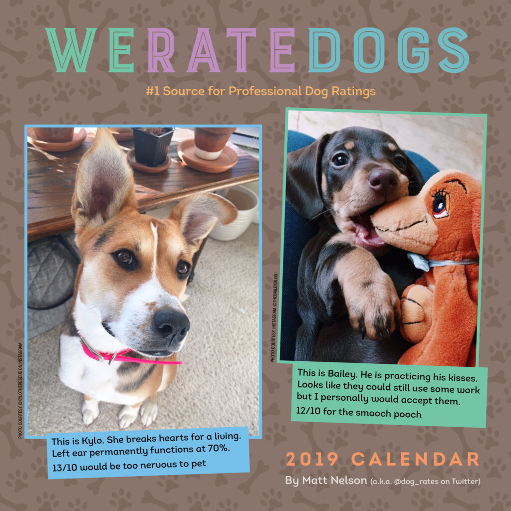 We Rate Dogs Calendar 2024