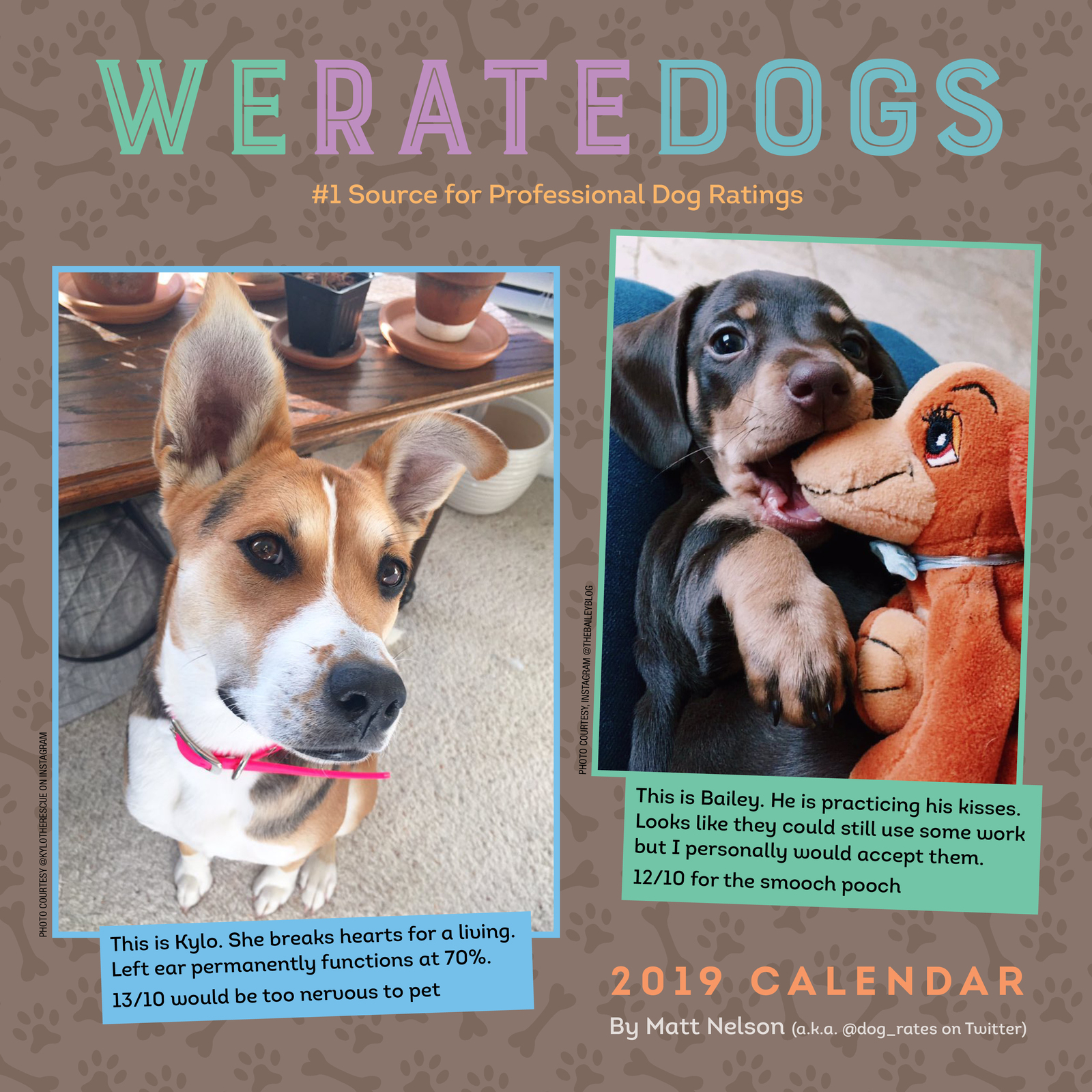 We Rate Dogs Calendar 2024 - 2024 Calendar Printable