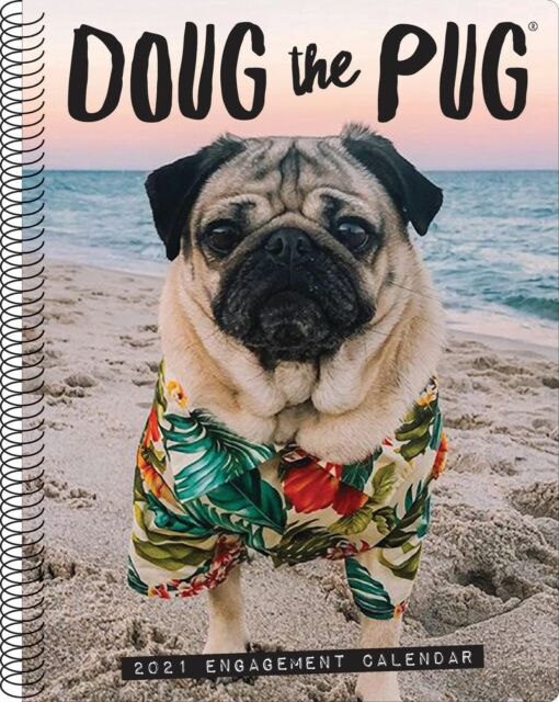 Doug The Pug Calendar 2024