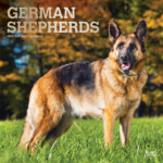 German Shepherd Calendar 2024