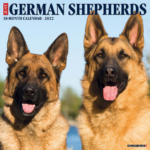 German Shepherd Calendar 2024