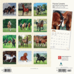 Horse Calendar 2024