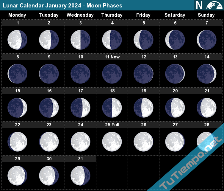 Moon Phases Calendar 2024