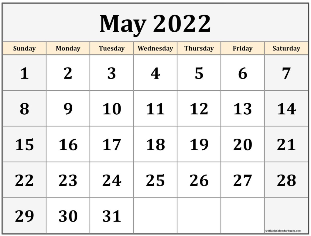 May Calenda 2024