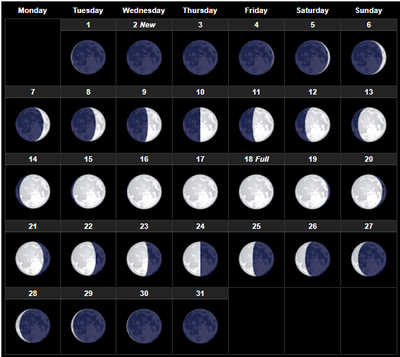 Lunar Calendar March 2024