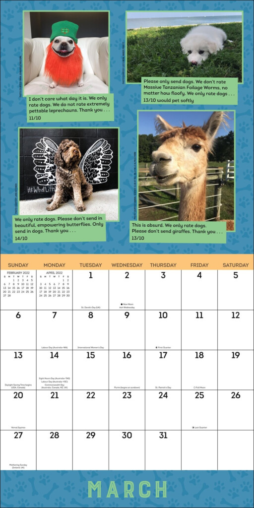 We Rate Dogs Calendar 2024