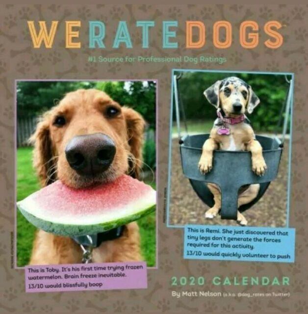 We Rate Dogs Calendar 2024