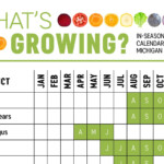 Michigan Planting Calendar 2024