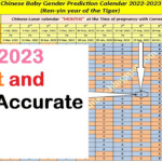 2024 Chinese Calendar Gender