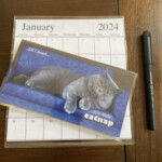 2024 Cat Calendar