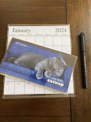 2024 Cat Calendar