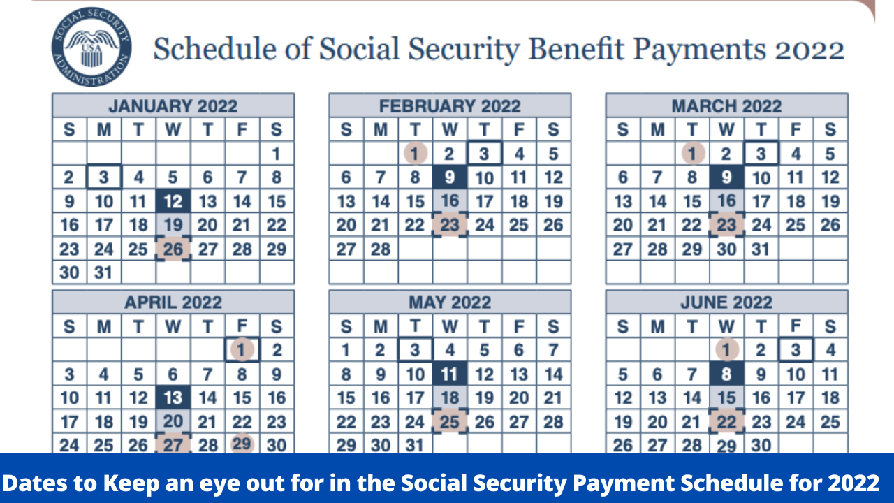 Social Security Payment Increase 2024 Deni Charmain