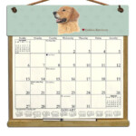 Golden Retriever Calendar 2024