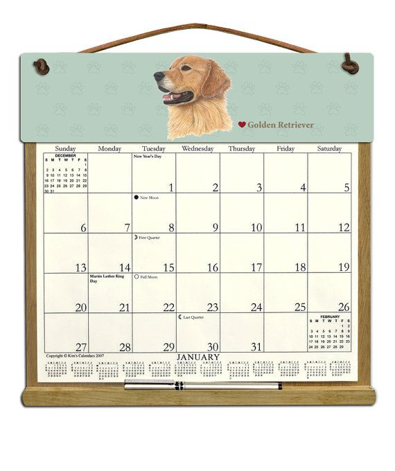 Golden Retriever Calendar 2024 2024 Calendar Printable