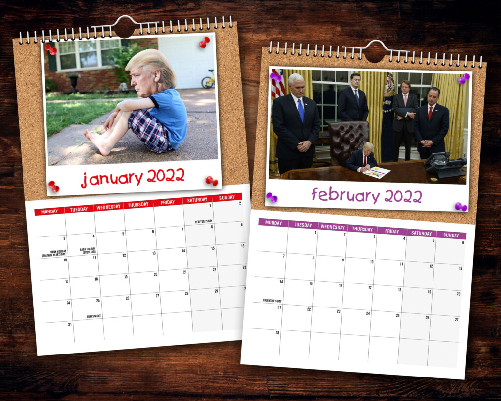 Funny Wall Calendar 2024