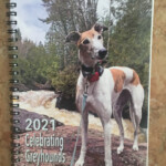 Celebrating Greyhounds Calendar 2024