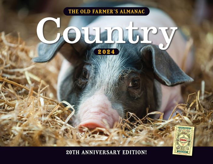 Almanac Calendar 2024