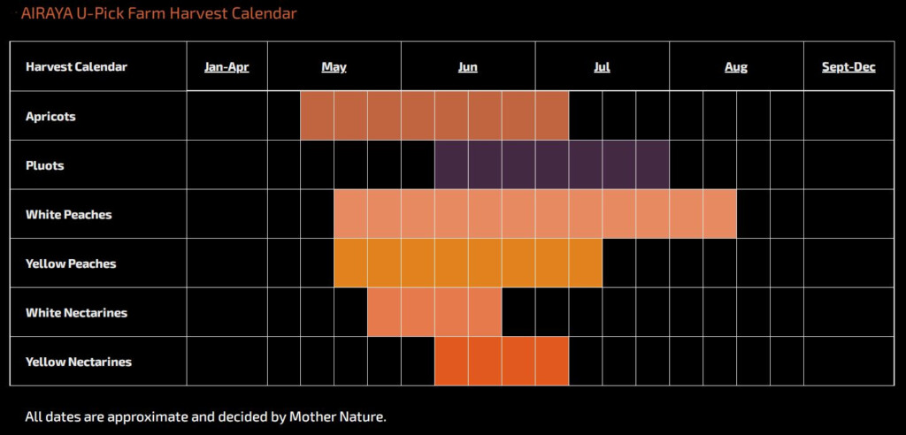 Brentwood Fruit Picking Calendar 2024