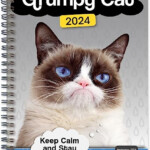 Grumpy Cat Calendar 2024