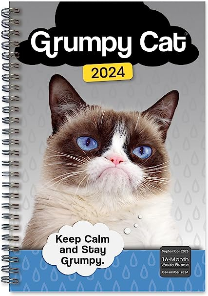 Grumpy Cat Calendar 2024