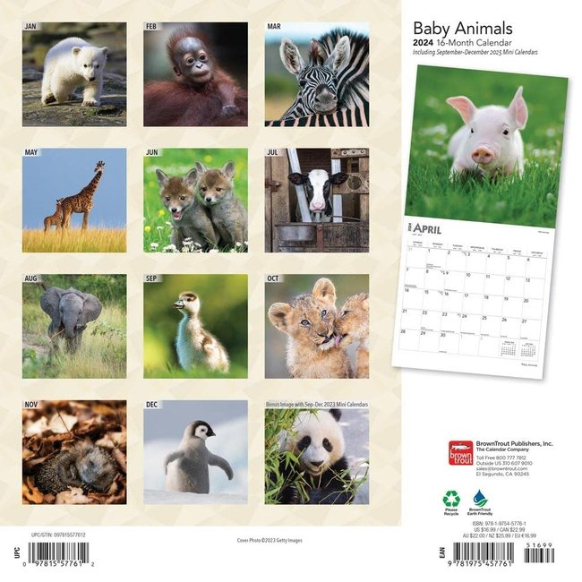 Animal Calendar 2024