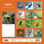 Bird Calendar 2024