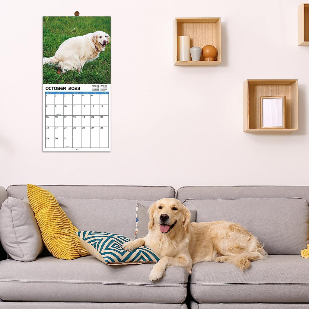 Dogs Pooping Calendar 2024