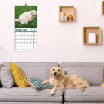 Dogs Pooping Calendar 2024