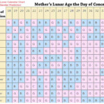 Chinese Calendar Baby Gender 2024 To 2023 Calculator