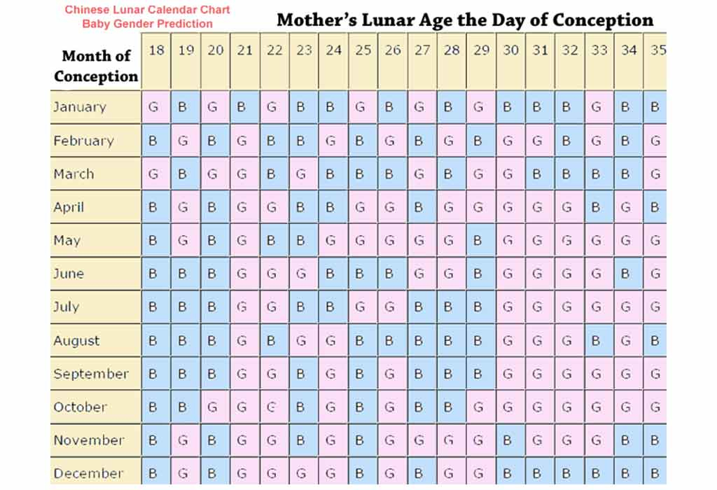 Chinese Calendar Baby Gender 2024 To 2023 Calculator