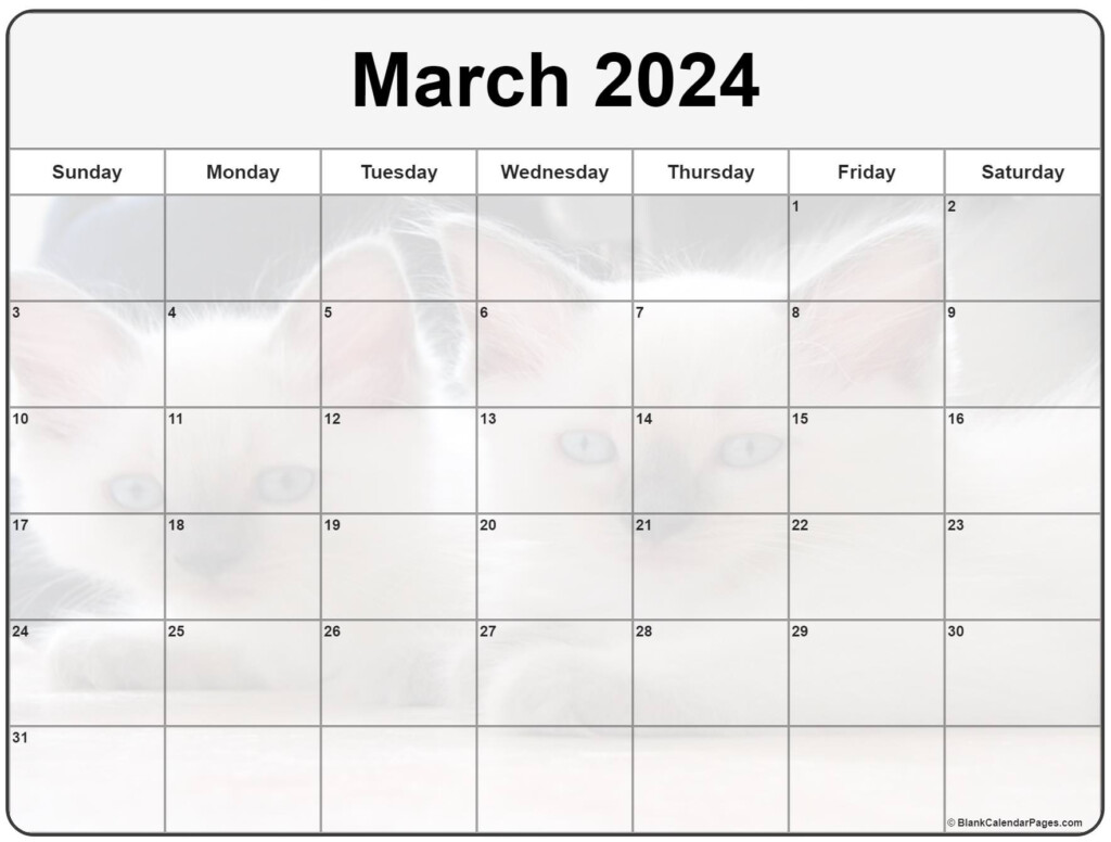 March 2024 Calendar Cute