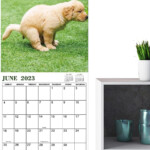 Dogs Pooping Calendar 2024