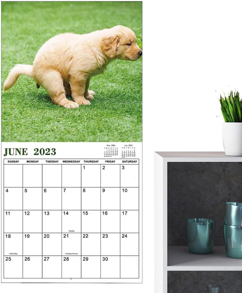 Dogs Pooping Calendar 2024