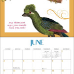 Bird Calendar 2024