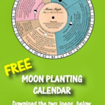 Moon Planting Calendar 2024