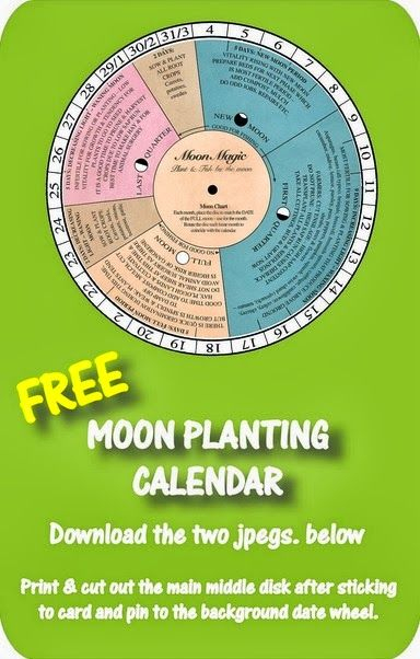 Moon Planting Calendar 2024