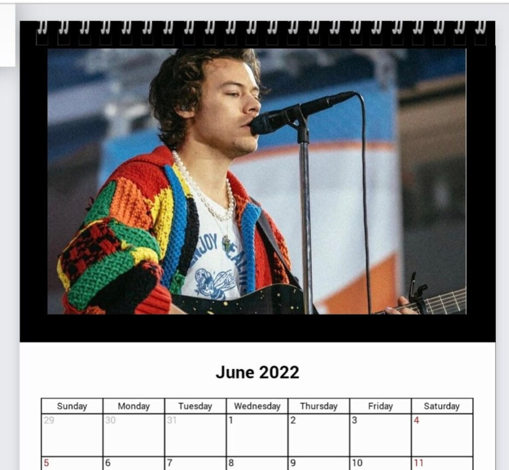 Harry Styles Calendar 2024