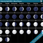 Lunar Calendar April 2024