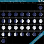 Moon Cycle Calendar 2024