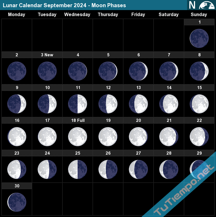 Moon Cycle Calendar 2024