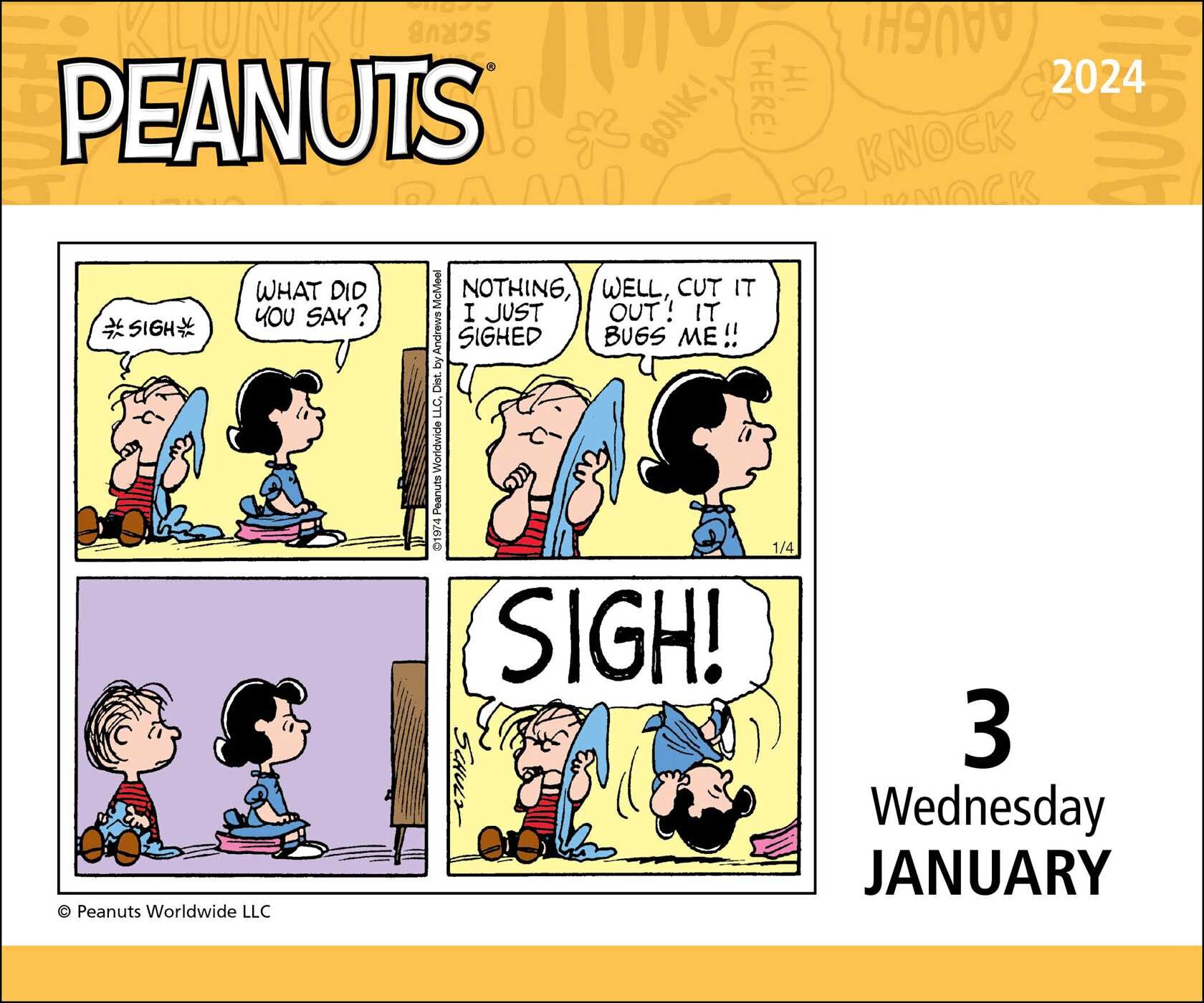 Peanuts 2024 Day To Day Calendar Book Summary Video Official 2024