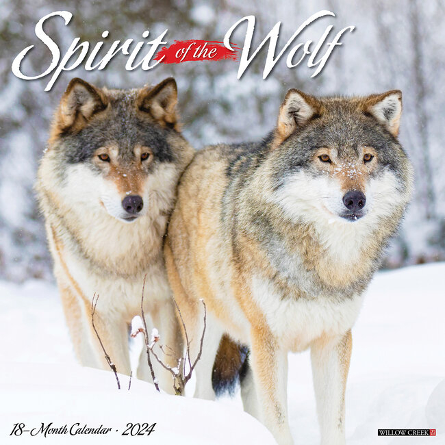 Wolf Calendar 2024