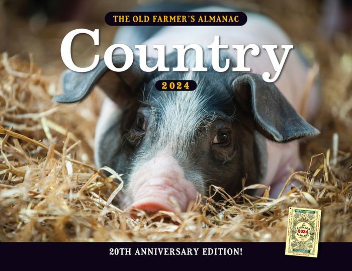 2024 Farmers Almanac Calendar 2024 Calendar Printable