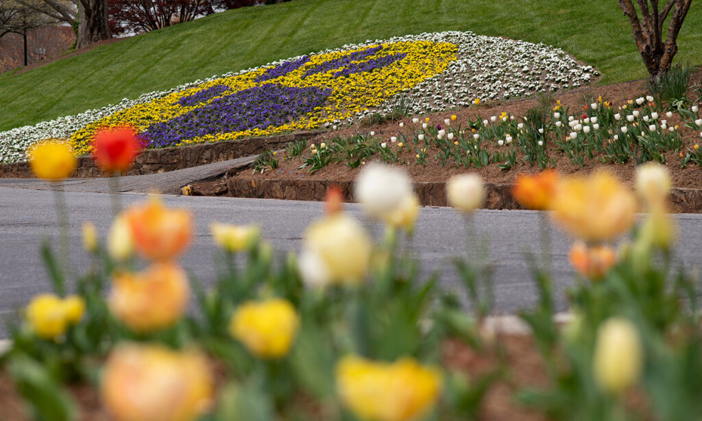 Wcu Academic Calendar Spring 2024