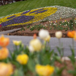 Wcu Academic Calendar Spring 2024