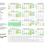 Texas Custody Calendar 2024